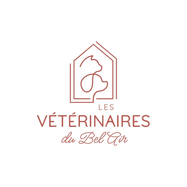 Vétérinaires du Bel Air - Image Equipe Attente